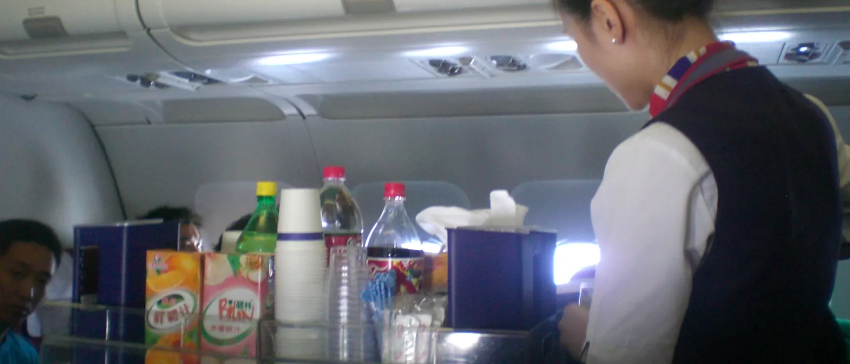 Aircraft Service Attendants