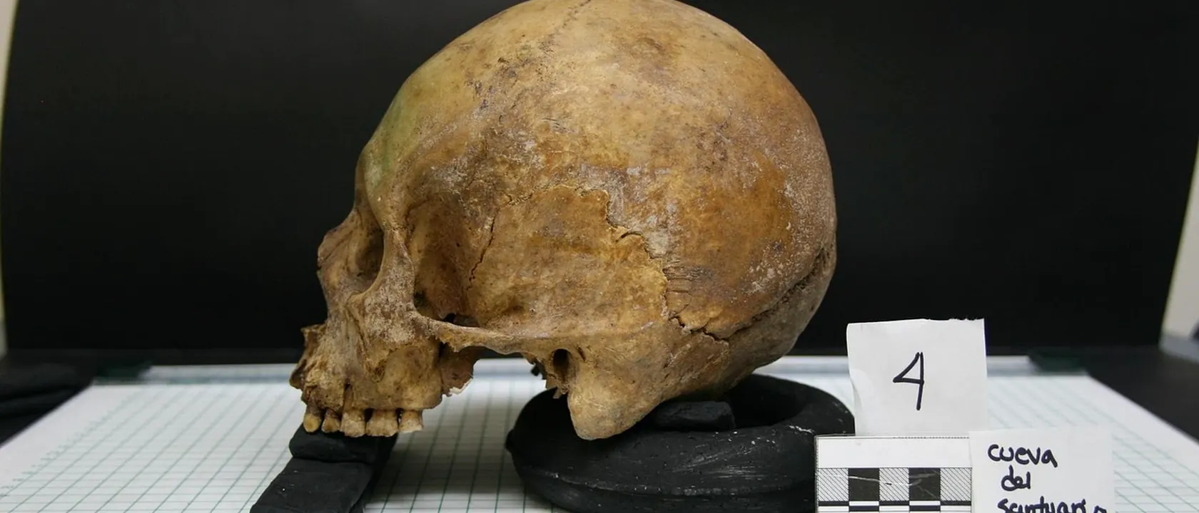 Anthropology and Archeology Teachers, Postsecondary