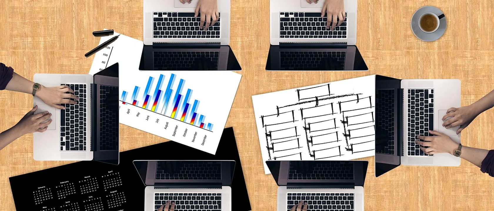 Biostatisticians