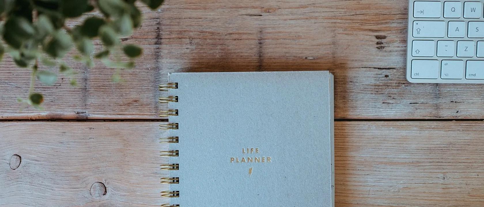 Business Continuity Planners