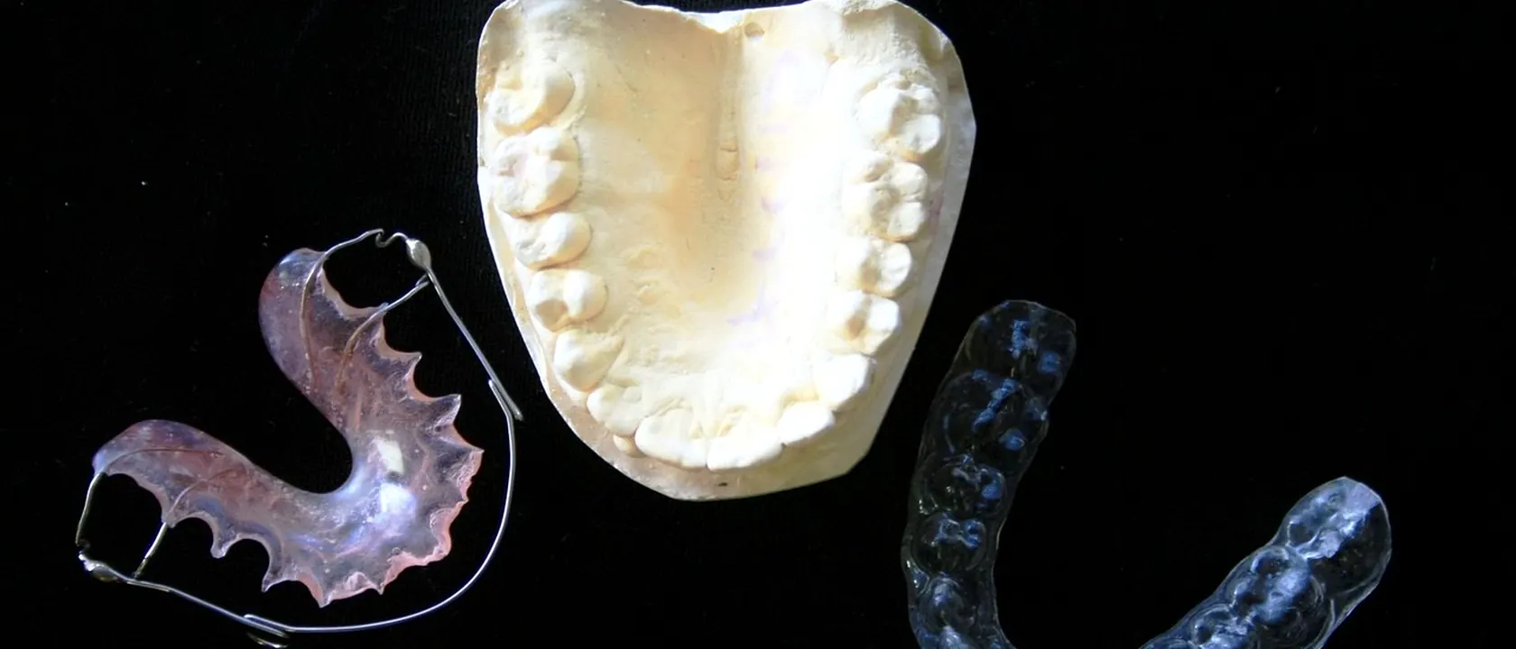 Dental Hygienists