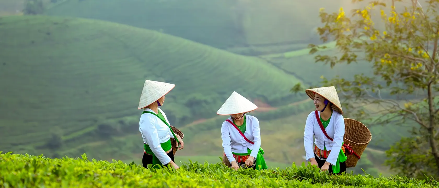 Farmers, Ranchers, and Other Agricultural Managers