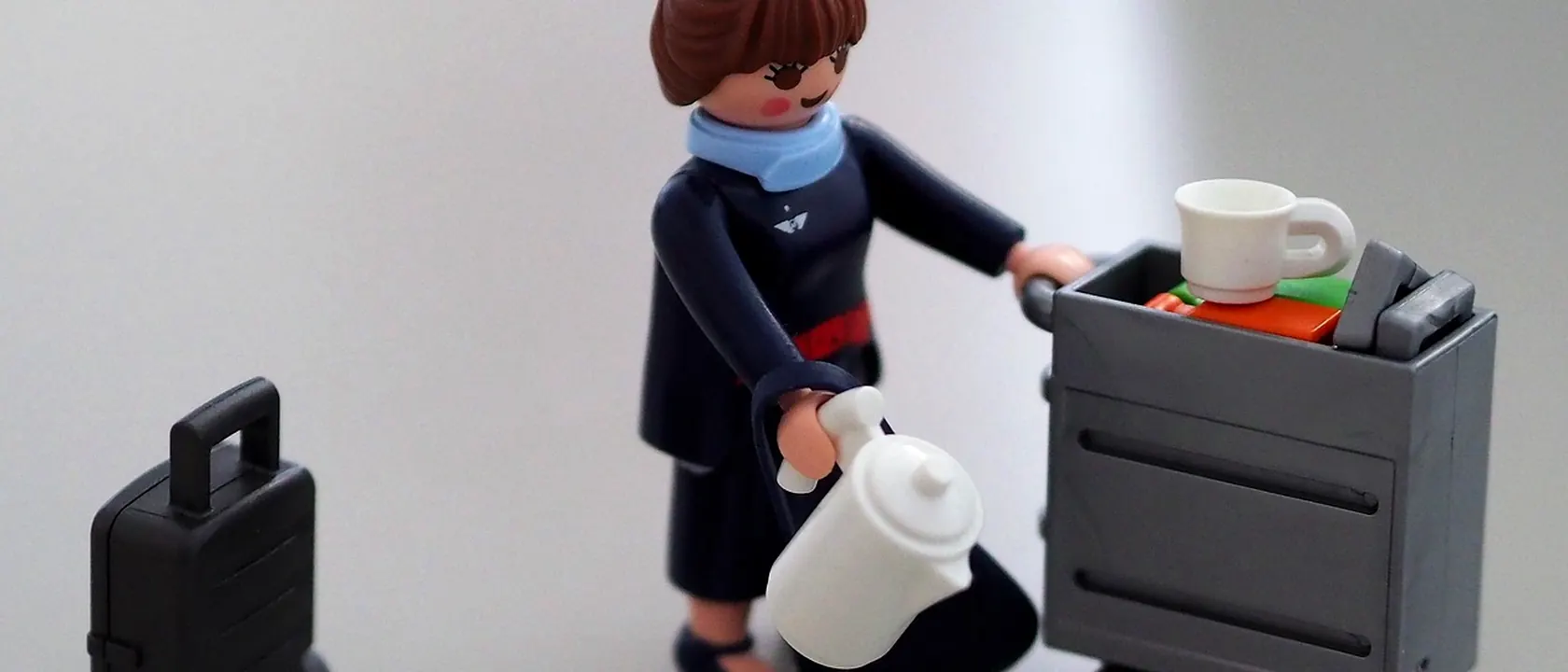 Flight Attendants