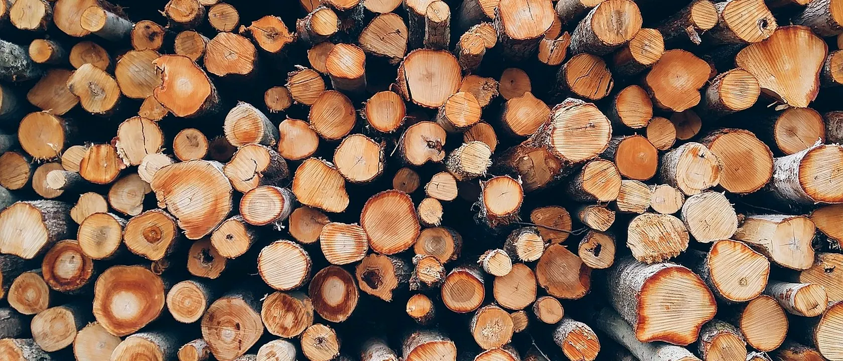 Forestry and Conservation Science Teachers, Postsecondary