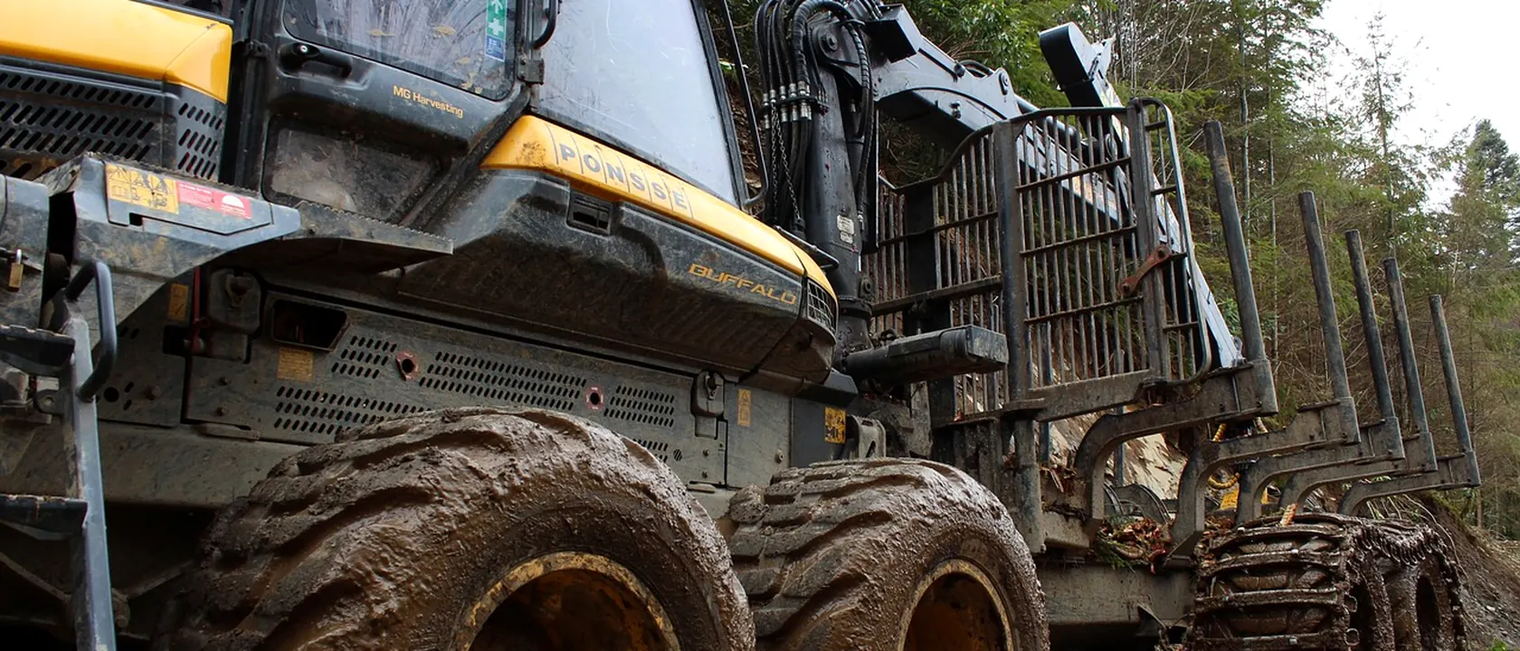 Freight Forwarders