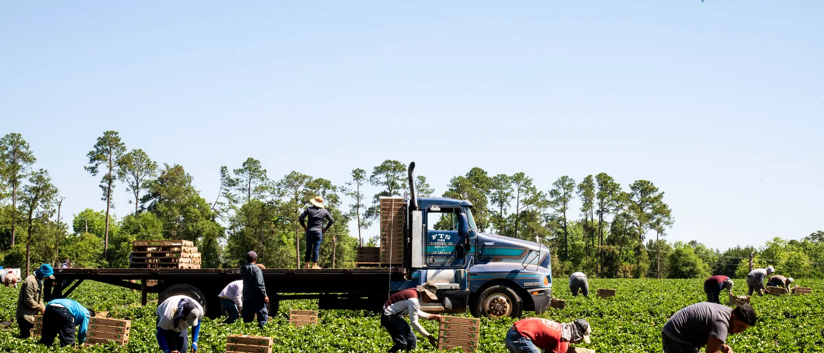 Helpers--Production Workers