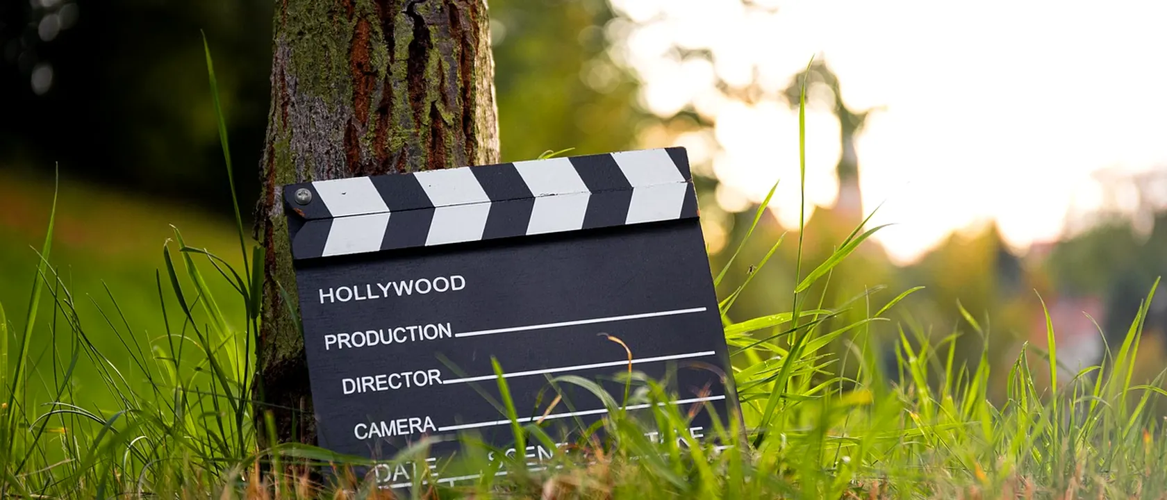Media Programming Directors