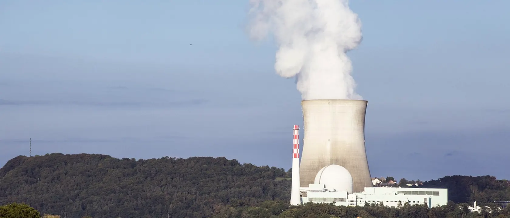 Nuclear Power Reactor Operators